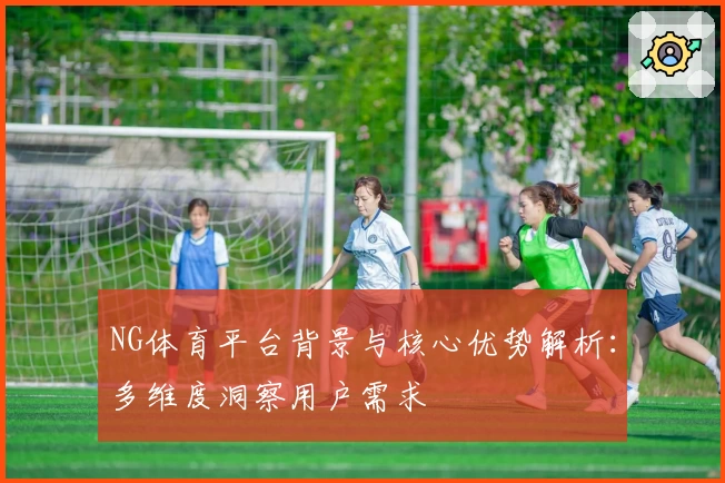 NG体育平台背景与核心优势解析：多维度洞察用户需求